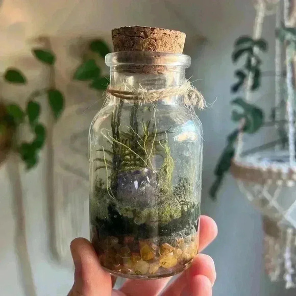 Mini Moss Terrarium with Amethyst Crystal enchanted fairy Cottagecore Witchy - Picture 5 of 6